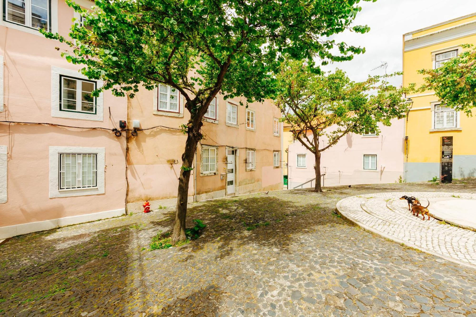 Rent4Rest Lisbon Downtown Tiny Studio Apartments Bagian luar foto